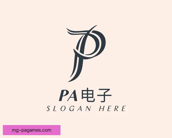 介绍PA电子